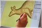 kangaroo_design